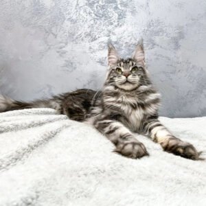 Barbara